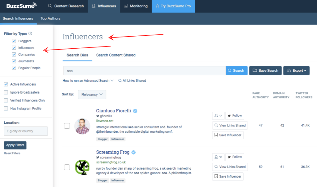 buzzsumo influencers type