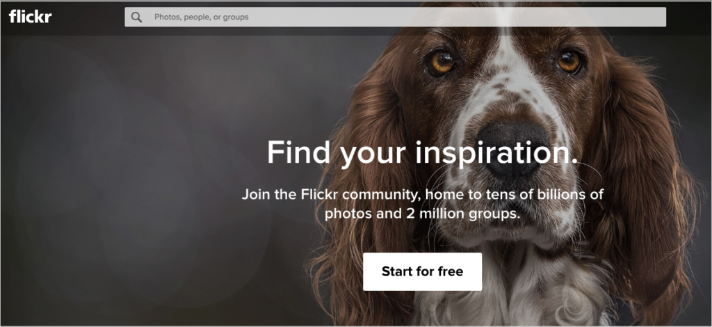 flickr-homepage