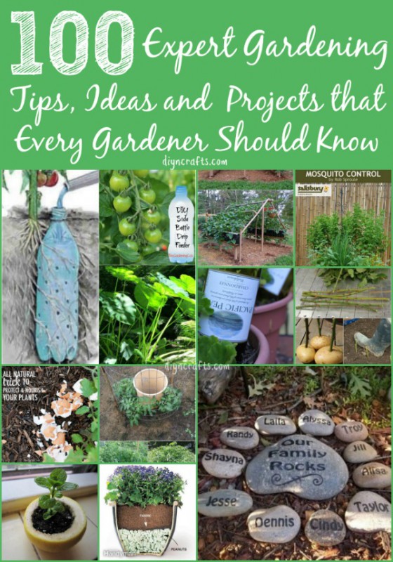 list gardening tips ideas hacks