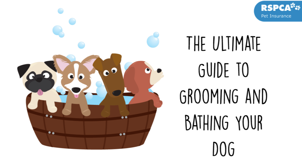 ultimate guide pet grooming